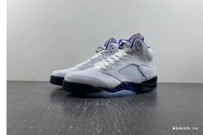 Retro Dark 5 Concord Jordan 0802
